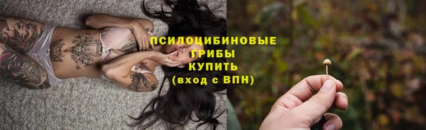 индика Абдулино