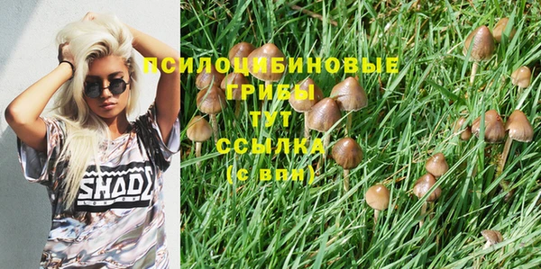 первитин Болотное