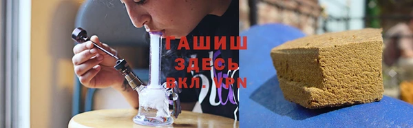 шишки Переславль-Залесский