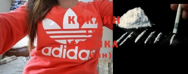 индика Абдулино